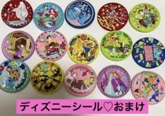 ディズニー　缶バッジ　刺繍　15個！　コンプリートセット