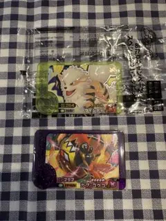 ポケモンフレンダ ウインディ カプ・コケコ フレンダピック