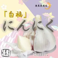 ニンニク 2キロのサムネイル
