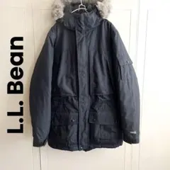 00s L.L. Bean エルエルビーン ダウン マウンテンパーカー