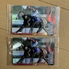 チェルヴィニアサイン