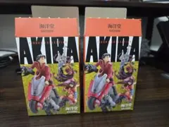 海洋堂AKIRA 2種類セット