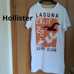 Hollister 半袖Tシャツ チュニックワンピースホワイト