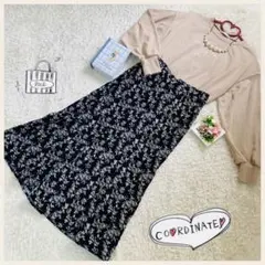 コーデセット♡レトロガール　エムズエキサイト　ページボーイ　グレイル　系統