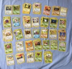 英語版 ポケモンカード　Jungle lot ホロ2枚他　ピカチュウ イーブイ