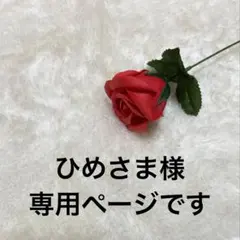 ★こちらはひめさま様専用ページです。