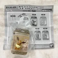ポケットモンスター ポケプラブリスターマスコットチャーム イーブイ