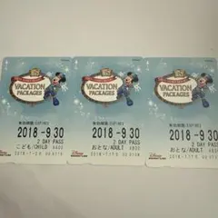 東京ディズニーリゾート 35周年バケーションパッケージ 2日間パス