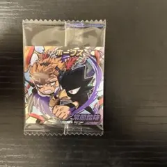 僕のヒーローアカデミア ウルトラシールウエハース SRホークス&常闇踏陰