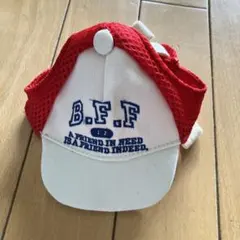 Item thumbnail for item 352456ac-5aa6-445f-bc57-c67d3eeae1b8