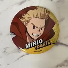 【ヒロアカ】缶バッジ