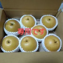 【あみちゃん様専用】新潟産　梨　新高　４キロ