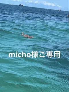 micho様　ご専用