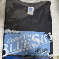 Item thumbnail for item d63ca05c-be79-4668-84d2-e2c95828a1f1