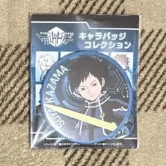 ワールドトリガー キャラバッジコレクション 風間蒼也　バッジ グッズ-バッチ】ワールドトリガー 描き下ろし 風間蒼也 缶バッジ