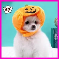 【即日発送】ハロウィン 犬 猫 用  被り 仮装  ペット 小型 コスプレ 衣装