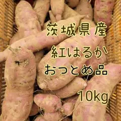 【おつとめ品】紅はるか　10キロ　さつま芋　茨城県産