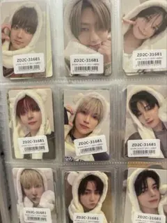 &TEAM 雪明かり ふわふわアニマルトレカ 全員コンプ9枚セット