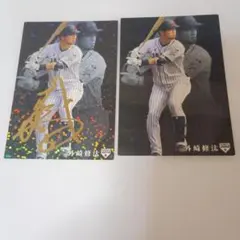 Item thumbnail for item 54ba6f58-aaf6-45bf-ae3f-fcc06e4775ac