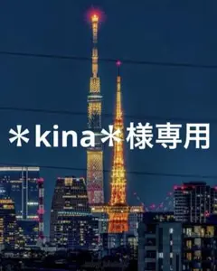 【＊kina＊様専用】ハンドメイド 2/14