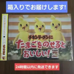 timelesz ひよこ組 チキンラーメン クリアファイル タイムレス