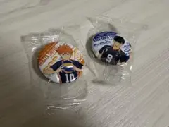 ハイキュー 日向翔陽 影山飛雄 山口忠