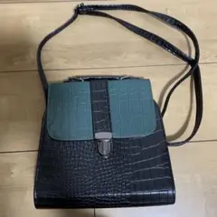 ワンコイン！クロコダイル柄　ショルダーバッグ