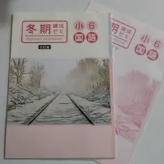 2025年最新】小学 練成テキストの人気アイテム - メルカリ