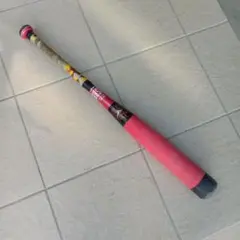 Mizuno 軟式野球バット セイコマックス 赤黒 | Mercari