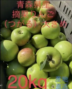 大特価限定セール　青森県産摘果りんご　ふじ.つがる、紅玉MIX　20kgのサムネイル