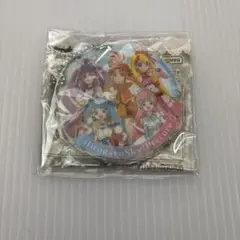 プリキュアあそーと2025 B賞 アクリルチャーム ひろがるスカイプリキュア