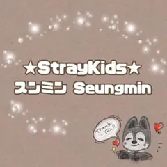 スンミン　トレカ等