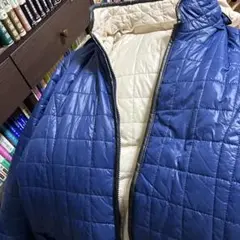 Item thumbnail for item d52acb2b-e075-40e9-a309-13e947657994