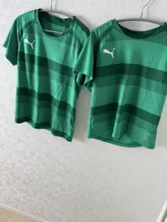 Puma 緑 ストライプ シャツ　兄弟