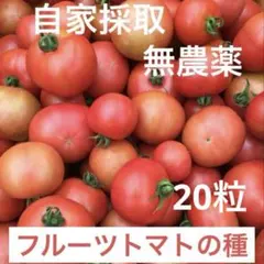 トマト様 リクエスト 2点 まとめ商品 TOMATOYA様 リクエスト 2点 まとめ商品 - メルカリ