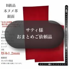 サティ様 リクエスト 3点 まとめ商品