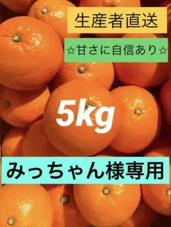 みっちゃん様専用出品です