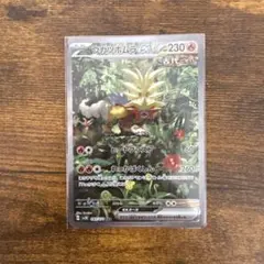 まっこり様 リクエスト 2点 まとめ商品