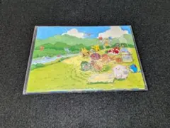 2026年最新】ポケモン ポストカード メールコレクションの人気アイテム