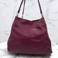 コーチ エディー ショルダーバッグ F35723 オールレザー 希少色 美品 COACH コーチ F35723 ラグジュアリー ペブルド レザー