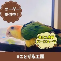 Item thumbnail for item dfe90c2f-d284-4a49-8743-f02b4fec14d3