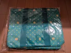 Item thumbnail for item 15e51806-524b-416d-b41a-5a5fe16307da