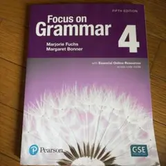 Focus on Grammar 4 FIFTH EDITION