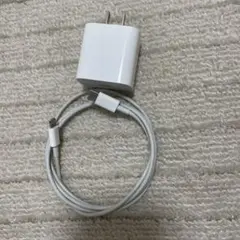 Apple 20W USB-C充電器とLightningケーブル