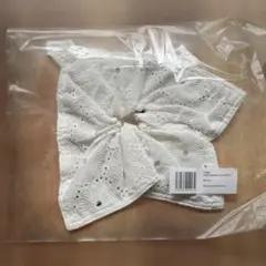 Item thumbnail for item ec926813-5d60-4095-9115-8ebf57615fa0