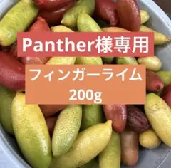 Panther様専用　フィンガーライム