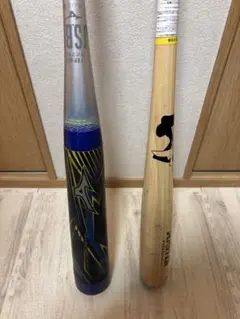 Item thumbnail for item 029dbcfb-f14b-4579-ae86-c8a18d56f6d6