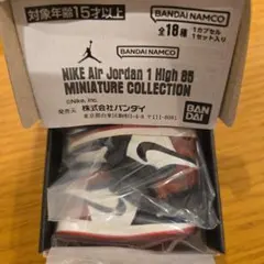 NIKE Air Jordan 1 ナイキ BLACK TOE ガチャ