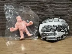 キンケシ21 セイウチン（ペールオレンジver.）送料無料