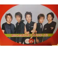 嵐 ブルボンプチシリーズ板 ビッグ　看板 パネル ポップ 嵐 ブルボンプチシリーズ板 ビッグ 看板 パネル ポップ 嵐 ブルボン